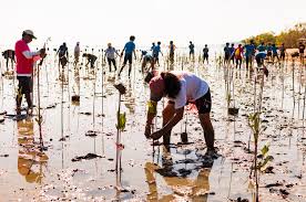 We did not find results for: Why Our Ocean Holds The Best Solutions To Climate Change World Economic Forum