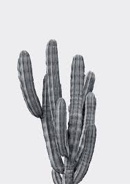 Black And White Cactus Printable Cactus Print Botanical Print Aloe Print Wall Decor Etsy Cheap Wall Art Online Wall Art Cactus