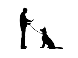 Are Voice Commands Or Hand Signals More Effective For Dogs Psychology Today Human dog play is not everybody's piece of cake, but it is difficult, for people who likes such play, to find relevant information. are voice commands or hand signals more