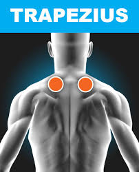 Electrode Placement Chart Tens Ems For Pain Relief