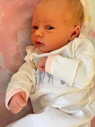 NOVEMBER November 2 Aliyah Willis Wishing a Happy Birthday to this little  sweetheart. Enjoy your special day!!! Aliyah is daughter of cousin Michael  Willis. Her Lineage: Slaveholder Thomas Jefferson Beck and Unknown