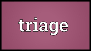 Triage Meaning Youtube