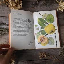 1970s Garden Flowers Book Botanical Book Watercolour Etsy Book Aesthetic Nature Inspiration Botanical