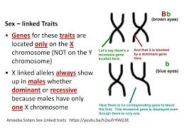 Amoeba sisters alleles and genesdraft. Genetics Notes Gregor Mendel By Teachers Pet 5 Min Ppt Download