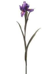Silk Plants Direct Iris Pack Of 12 Purple This Is An Amazon Affiliate Link Click Image For More Details Iris Flowers Iris Flower Tattoo Silk Flowers