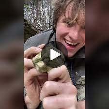 There is so much beauty in this science #paleontology #palaeontology ...