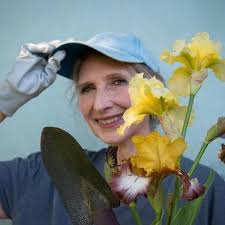 Tree limb removal and log cutting service?