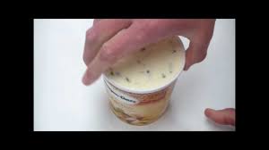 What a combo, a warm but beautiful day, a haagen dazs nearby, and a few minutes later a taste treat. Haagen Dazs Pistachio Ice Cream Youtube