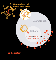 Maybe you would like to learn more about one of these? Covid 19 So Geht Impfen Mit Mrna Und Den Neuen Vektorimpfstoffen