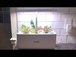 Idoo Hydroponics 2 Week Progress 7 Pod Growing System Youtube