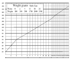 Kitten Size Chart By Age Www Bedowntowndaytona Com