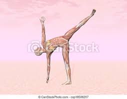Step 2 | half moon pose, ardha chandrasana, poses. Half Moon Yoga Pose For Woman With Muscle Visible In Pink Background Canstock