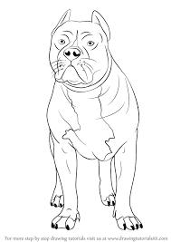 Pitbull dog mom art print, animal line art, pit bull dog, minimal one line drawing. Learn How To Draw A Pitbull Other Animals Step By Step Drawing Tutorials