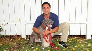 Bark Busters Home Dog Training Norwalk Ct Fairfield Bridgeport Specializes In Dog Behavior Problems In 2021 Dog Training Puppy Training Classes Positive Dog Training