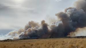 */ summit county community wildfire protection plan. Kefnpzozb2vljm