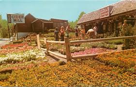 The farmington aquatic center's features: Indian Valley Garden Center Avon Cider Mill Farmington Postcard Hippostcard