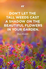Enjoy our gardening quotes collection by famous authors, poets and presidents. 48 Inspirational Flower Quotes Cute Flower Sayings About Life And Love