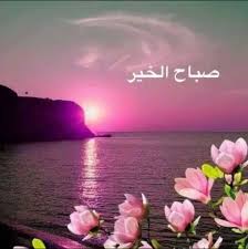 Pin By P O R C C I On صباح الشهد والعسل صباح الحب والغزل صباح مصحوب بالامل صباح الورد يا عسل Good Morning Flowers Good Morning Arabic Morning Images
