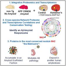 Andrea Ceballos full gallery