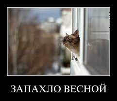 Скоро весна анонятки / demotivators / смешные картинки и другие приколы:  комиксы, гиф анимация, видео, лучший интеллектуальный юмор.