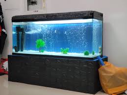 Odor free plastic also seals in waste odors todd's one piece molded water/holding tanks are tough and durable. Any Stocking Advice For This 100 Gallon Fresh Water Tank Thank You All In Advance Aquariums