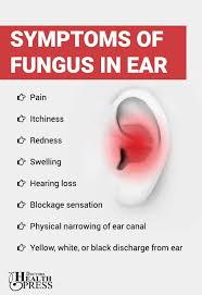 Ear Fungus Otomycosis Causes Symptoms Treatments Remedies Outer Ear Infection Ear Infection Remedy Remedies