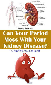 Polycystic Kidney Disease News Kidney Failure Diet Kidney Disease Kidney Disease Symptoms