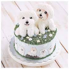 pin on dog cakes