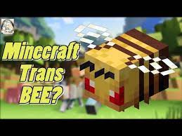Minecraft bee peluche minecraft regalos juego material*** fleece, algodón, holofibra el . Minecraft Introduces A Trans Bee Youtube