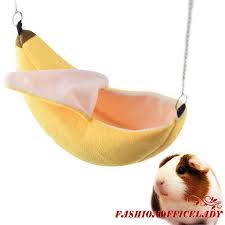 Another word for opposite of meaning of rhymes with sentences with find word forms translate from english translate to english words with friends scrabble crossword / codeword words starting with words ending with words containing exactly words. O L Hote Sale Pet Bird Hamster Ferret Rat Squirrel Hammock Hanging Cage Nest Shopee Malaysia