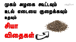 Chia Seeds In Tamil ச ய வ த கள பயன கள Chia Seeds Youtube