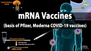 Pharmaceutical giant moderna says preliminary data of its vaccine trial shows it is 94.5 per cent effective against the virus. Rna Vaccines Mrna Vaccine Basis Of Pfizer And Moderna Covid 19 Vaccines Animation Youtube