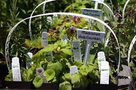 Design a perfect baby nursery with these ideas for using color and accessories in creative ways. Garden Nursery Tips And Ideas How To Start Your Own Plant Nursery