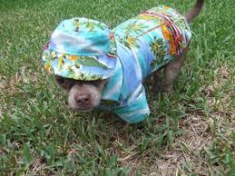Tropical Shirt And Matching Tropical Bucket Hat By Woofsandruffles 32 00 Tropical Shirts Tropical Trending Outfits