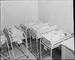 The Baby Boom Article Khan Academy