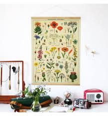 Affiche Fleurs Specimens Sauvages L Arbre Aux Souhaits Design De Magasin De Cafe Affiche Affiche Retro