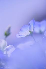 We did not find results for: 31 Periwinkle Aesthetic Ideas Periwinkle Blue Aesthetic Purple Aesthetic