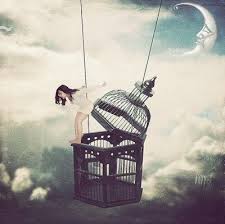 Bird In A Gilded Cage Poem She Can Still Fly Even With A Broken Wing 3 Freedom Photography Art The Caged Bird Sings