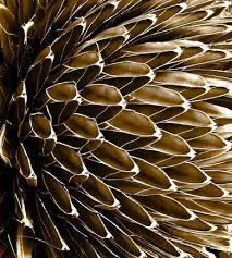 Harmony In Landscape Abstract Photography Abstract Photography Macro Photography Abstract Abstract Photographs