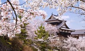 Ada empat musim di jepang; Musim Semi Maret Mei Liburan Ke Jepang