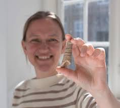 From Mexico to Syria: stunning global archaeological finds