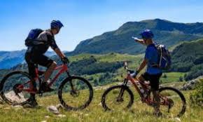 Oznaka: Halil Tucaković