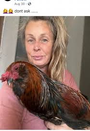 Ducks trying to steal tortoises' food