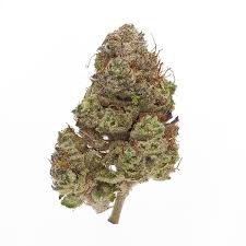 The chem dawg reserve cartridge has pungent notes of sweet, gassy diesel fuel, with some herbal, peppery notes of hops and cedar. Illinois Cannabis Archives Dispensary 33