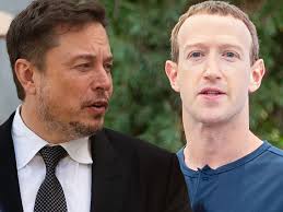 Elon Musk Says It's Mark Zuckerberg's Fault MMA Fight Didn't Happen