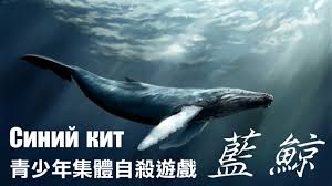 Make social videos in an instant: èµ·æºæ–¼ä¿„ç¾…æ–¯ é‚ªæ•™èˆ¬çš„è‡ªæ®ºéŠæˆ² è—é¯¨sinij Kit å°ç£å¥³å­©åœ¨ä¿„åœ‹ Angelaleetaiwan Youtube