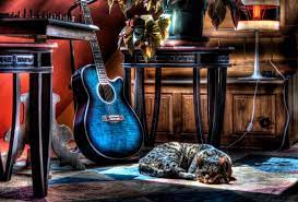 We did not find results for: Gambar Wallpaper Gitar Unik 630x427 Download Hd Wallpaper Wallpapertip