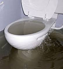 A Regular Maintenance Of The Sewer Line Can Be A Good Approach To Unclog Main Sewer Line Also Try Using A Yearly Ro Sewer Line Cleaning Plumbing Toilet Repair