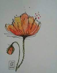 Today i started with a blank page, but instead of directly painting i lightly sketched out the design i had in mind with a light 6h drawing pencil. Watercolour And Ink Watercolor Poppies Floral Watercolor Watercolor Tulips