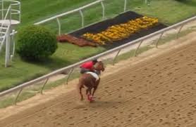 Ten horses are lined up to contest the second jewel of the triple crown, which will be televised on nbc during a broadcast from 5 p.m. Nragdk49ibj0tm